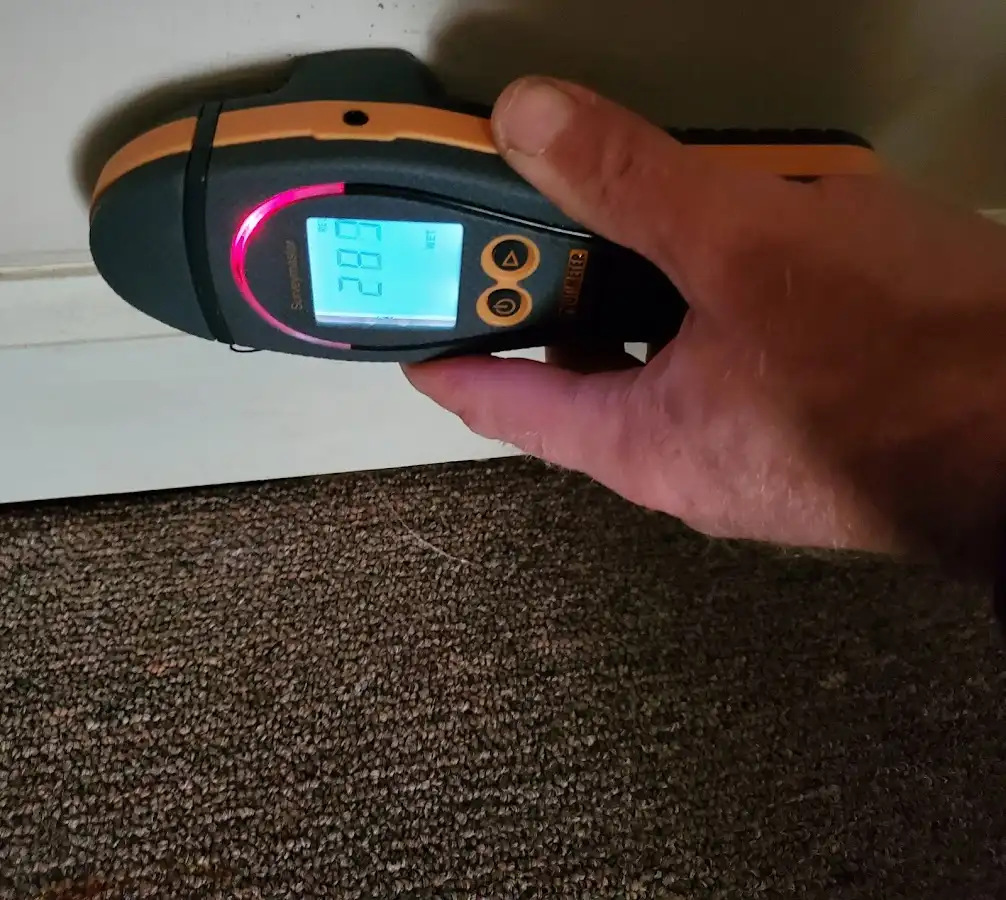 Moisture detection at baseboard during Burst Pipe Cleanup in Fox Point